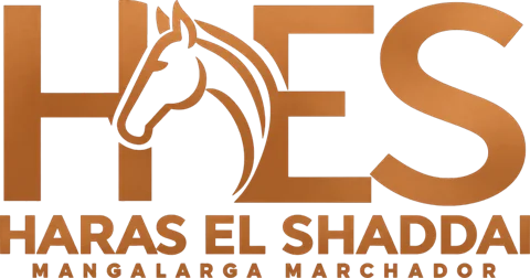 Haras El Shaddai – Mangalarga Marchador